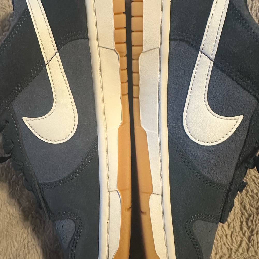 Nike dunk low retro